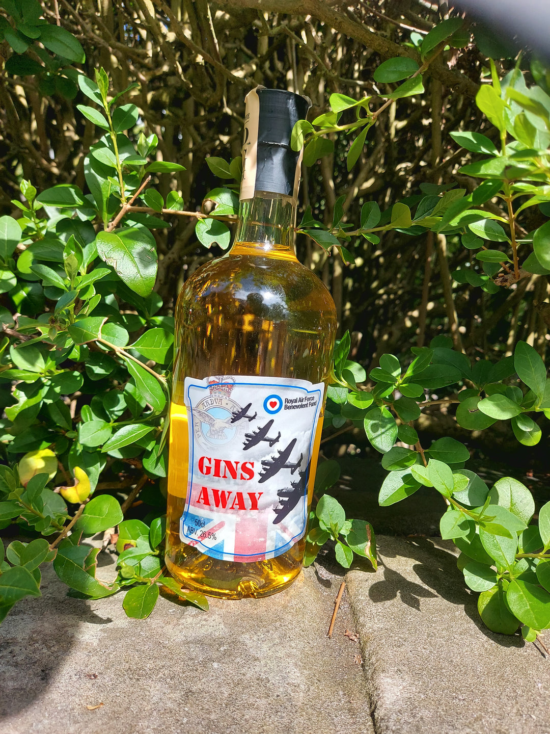 Gins Away